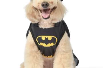 batman dog halloween costume